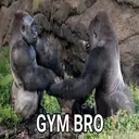 ملصق