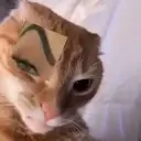 Çıkartma