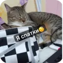 ស្ទីកเกอร์