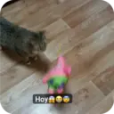 ស្ទីកเกอร์