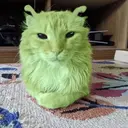 ស្ទីកเกอร์