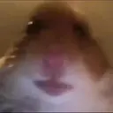 Stika